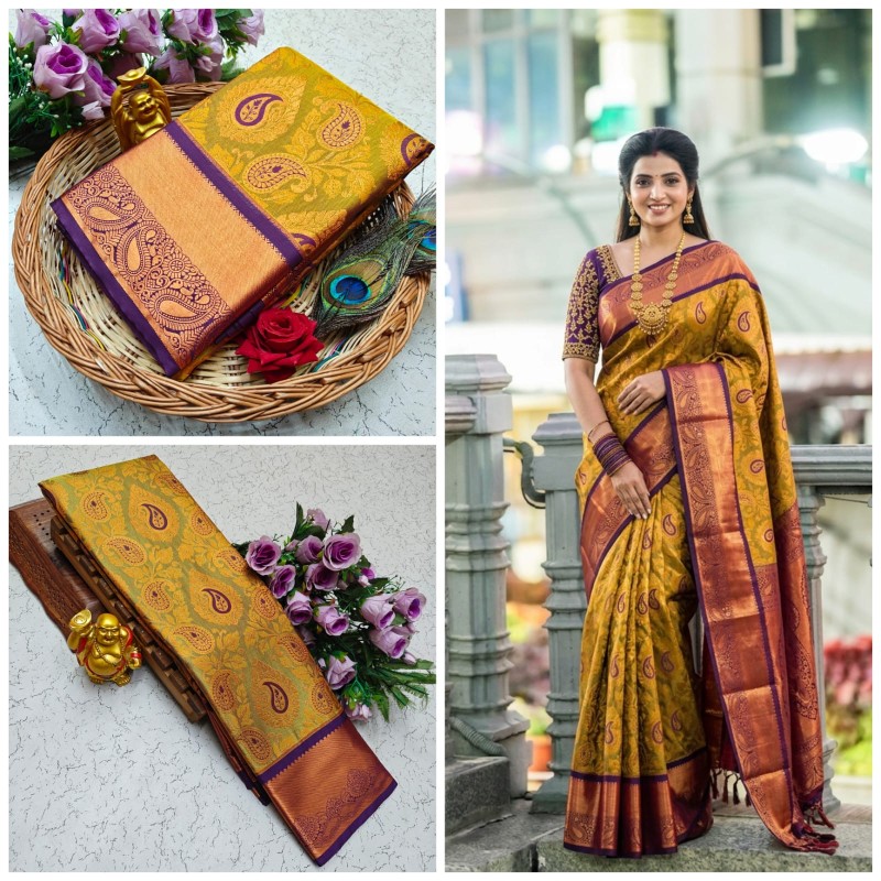 Nikki Galrani Silk Sarees
